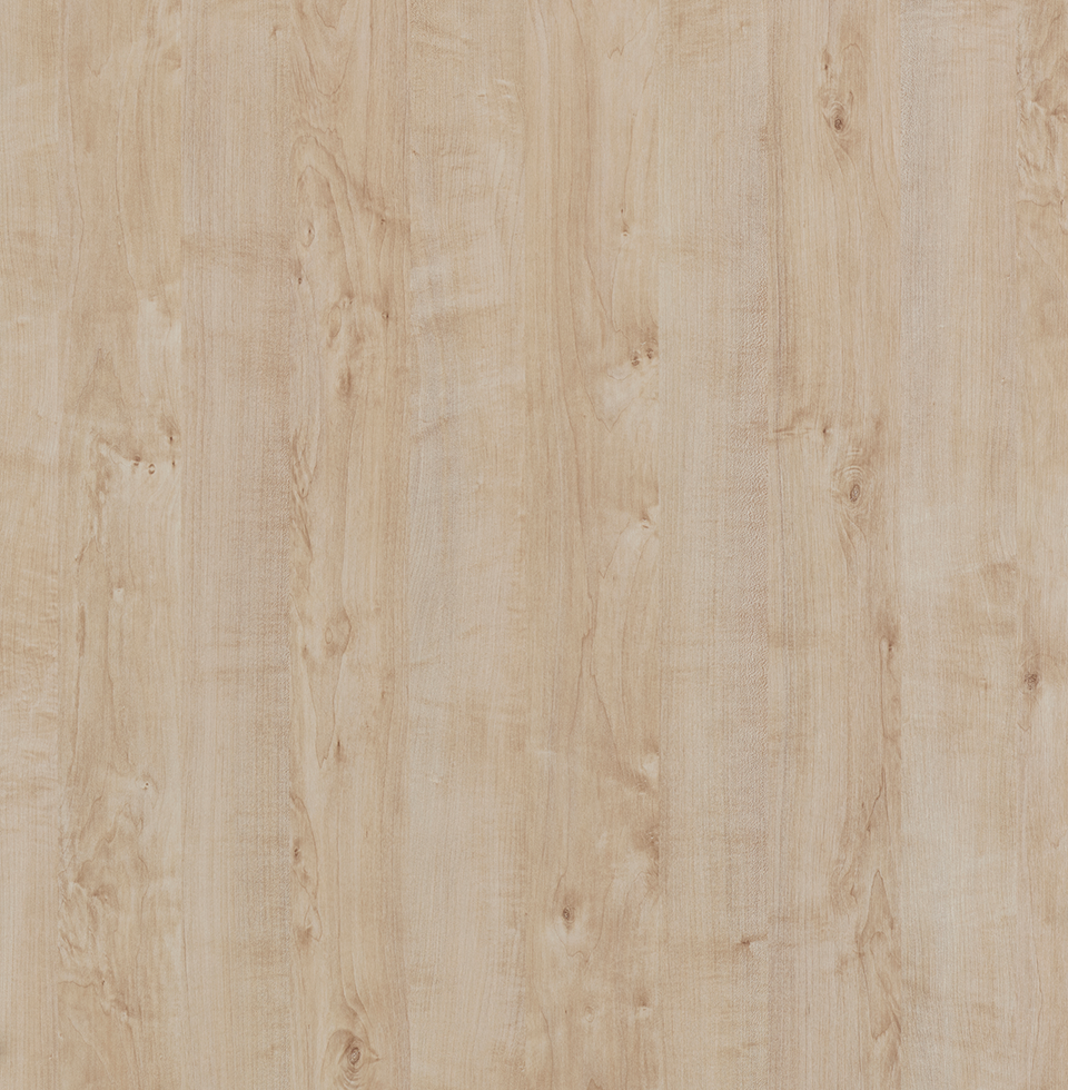 Nature / Interior Maple
